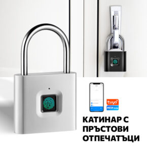 Интелигентен катинар P2